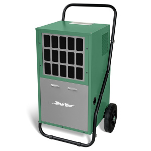 DanVex DEH-900i